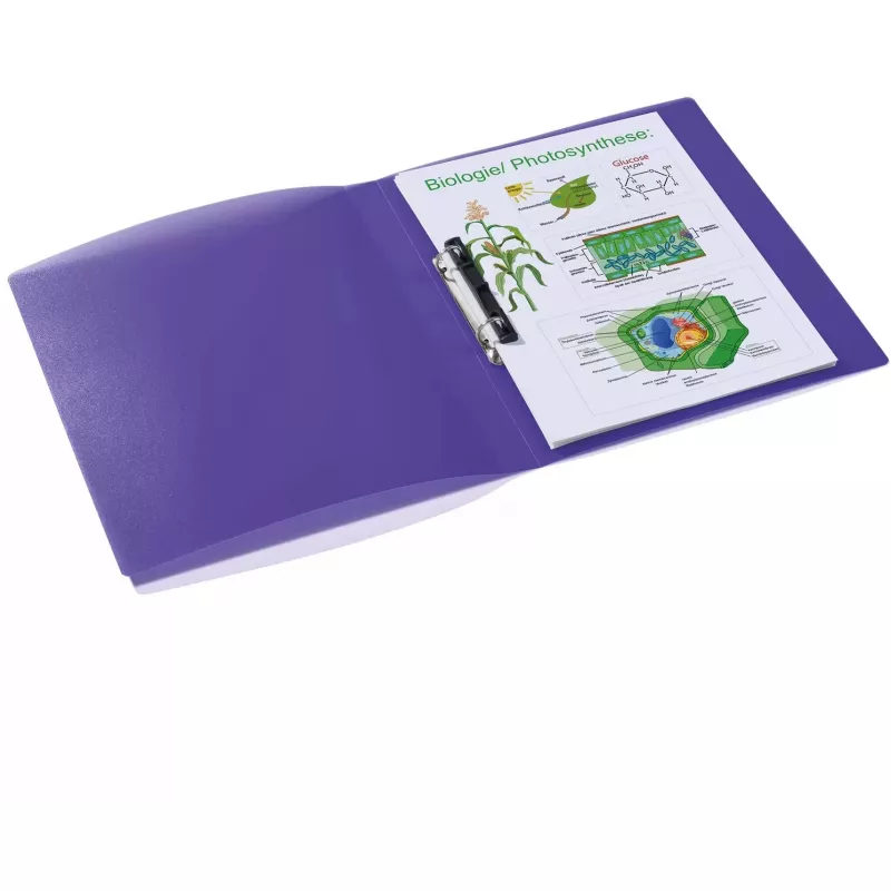 Ringbuch HERMA 19183 A4 Violett