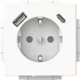 Busch-Jaeger SCHUKO Steckdose USB-A+C 20 EUCB2USBAC-884 (2CKA002011A6310)