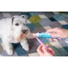 Zahnpasta für Hunde und Katzen VIRBAC enzymatische Paste 70 g