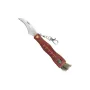 Messer Speck Pilzmesser CC-GC105 — klappbares Pilzmesser mit 75 mm gebogener Stahlklinge, Kompass, Schmutzbürste, Karabiner, 11,4 cm gefaltet