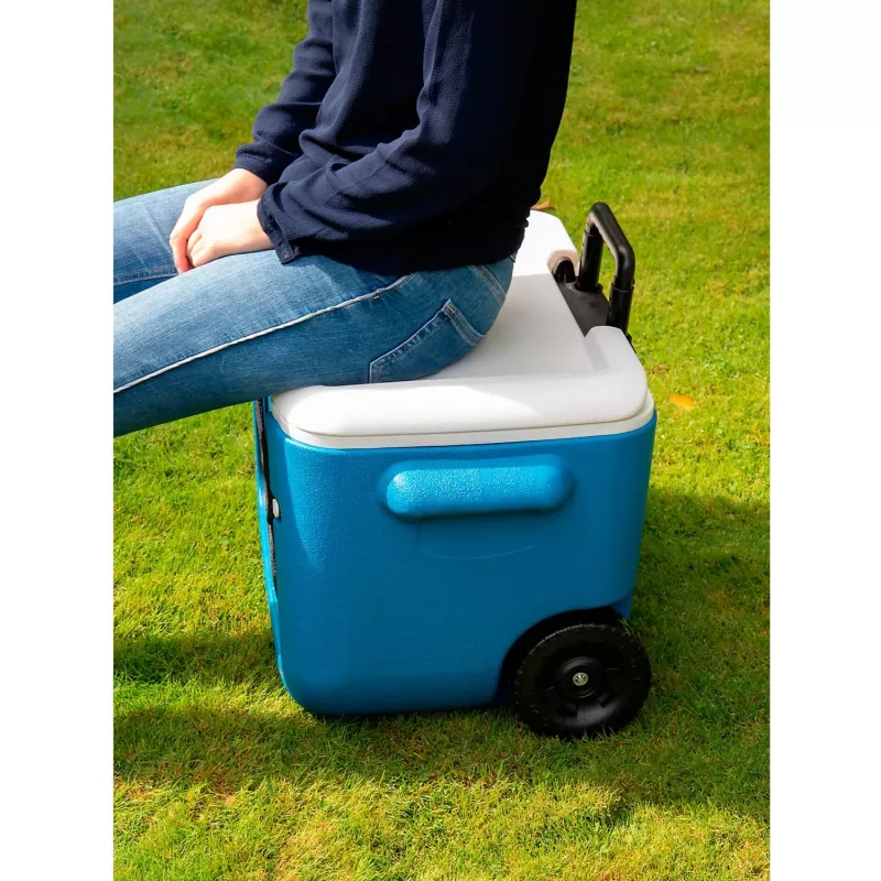 Coleman 2000036081 46 L Blau