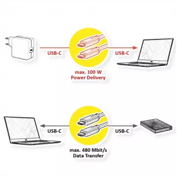 USB-Kabel VALUE 11.99.8310 3 m USB C Schwarz USB 2.0