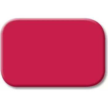BJ - Reflex SI - Tastersymbol *rot* (2525-12)