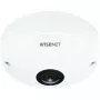 IP-Sicherheitskamera Hanwha QNF-8010 Dome 2048 x 2048 Pixel