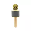 Mikrofon MANTA MIC10-G Gold Niere tragbar — Kondensator-Niere, Handdesign