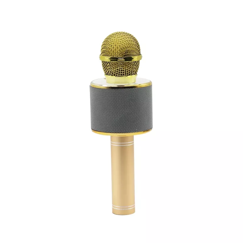 Mikrofon MANTA MIC10-G Gold Niere tragbar — Kondensator-Niere, Handdesign