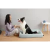 Nest-Haustierbett PETKIT Four - M für Katzen und kleine Hunde, Innenbereich, 1 Stück