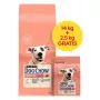 PURINA Dog Chow Sensitive Salmon - Trockenfutter für Hunde - 14 + 2,5 kg