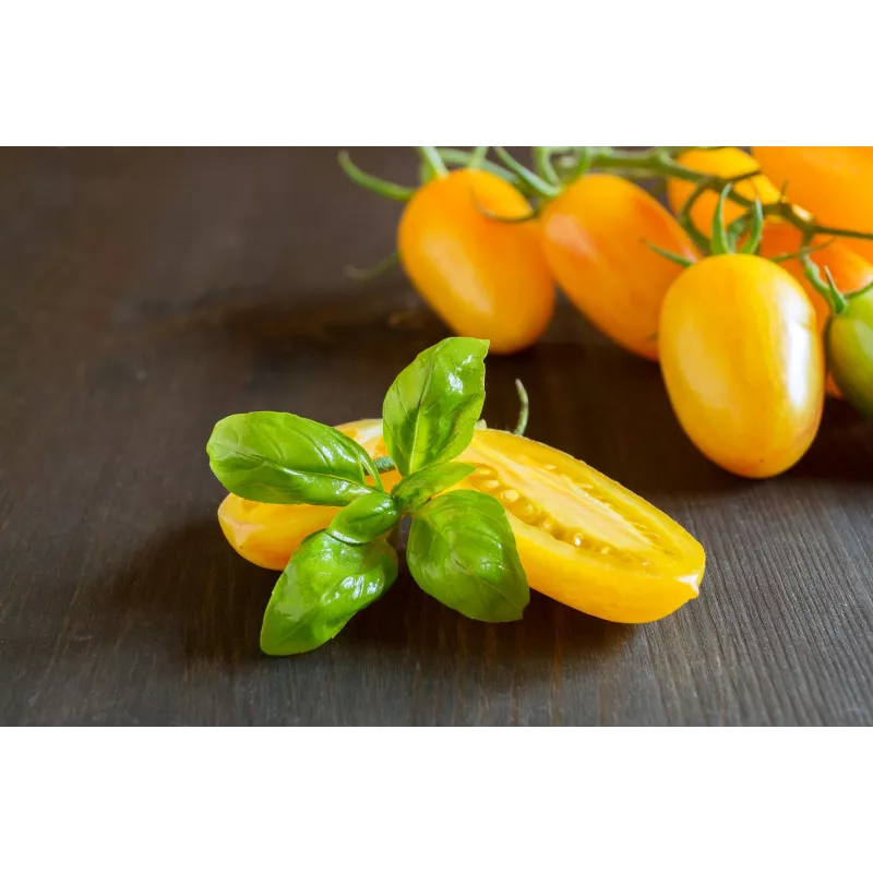 Cherrytomate Perun Toraf Gemüsesamen, 0,5g Packung