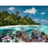 Puzzle Ein Dive in the Maldives (2000 Teile)