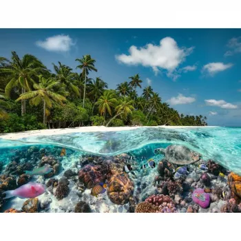 Puzzle Ein Dive in the Maldives (2000 Teile)
