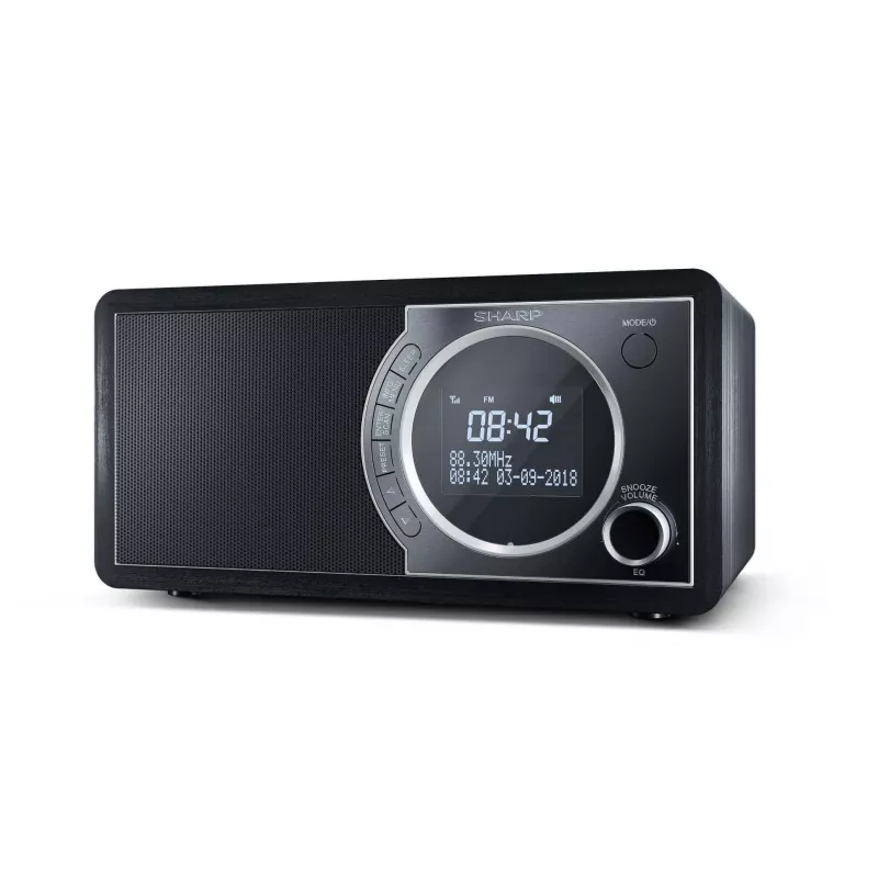 Sharp DR-450 Digitalradio – Schwarz, Personal, Digital, DAB, DAB+, FM, 87,5 – 108 MHz, 174,928 – 239,2 MHz, 3 W