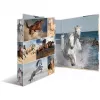 Ringbuch HERMA 19429 A4 Mehrfarbig