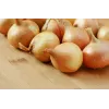 Wolska Onion Toraf Gemüsesamen, 5g Packung