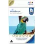 Fotopapier MediaRange MRINK115 Glänzend 150 g/m² Inkjet