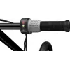Elektroroller Razor Ecosmart SUP