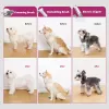 PETKIT DT5-EU Staubsauger und Haarschneider für Katzen und Hunde, schwarz/lila