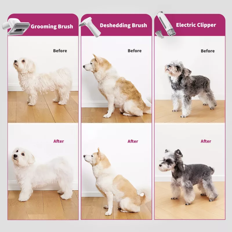 PETKIT DT5-EU Staubsauger und Haarschneider für Katzen und Hunde, schwarz/lila