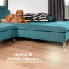 Vileda Always Clean PET PRO Bürste