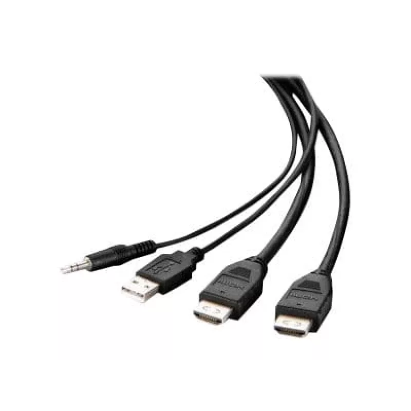 Belkin Secure KVM Combo Kabel - Video- / USB- / Audiokabel - TAA-konform - USB, Miniklinke, HDMI (M)