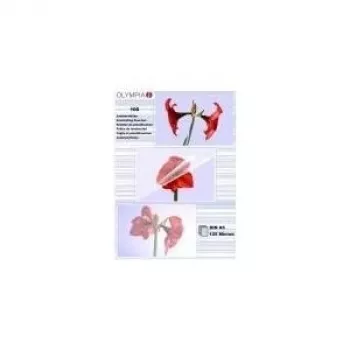 Laminierfolien Olympia 1x100 DIN A5 125 Mikron