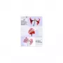 Laminierfolien Olympia 1x100 DIN A5 125 Mikron