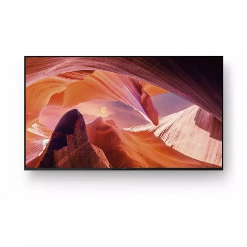 Sony FWD-65X80L TV 165.1 cm (65 Zoll) 4K Ultra HD Smart-TV Wi-Fi Schwarz