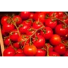 Bajaja Cherrytomate Toraf Gemüsesamen, 0,3 g Packung