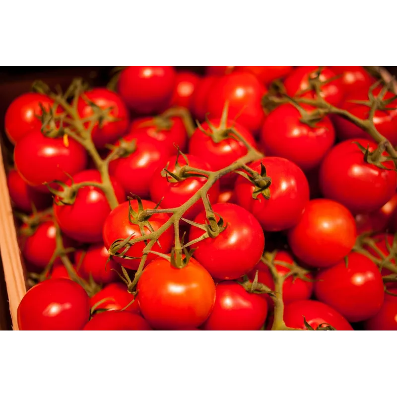 Bajaja Cherrytomate Toraf Gemüsesamen, 0,3 g Packung
