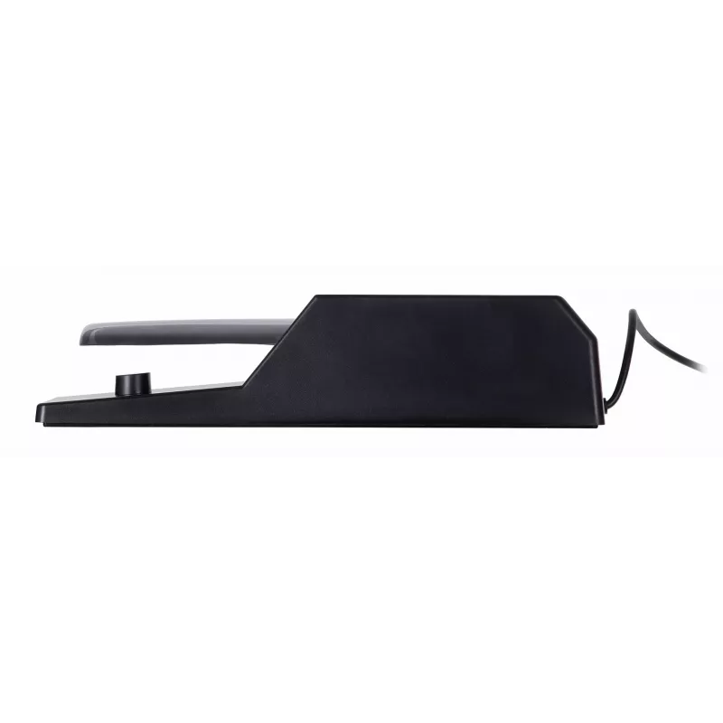 M-AUDIO SP-2 Sustain-Pedal 6,35 mm