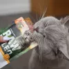 RAW PALEO Adult Cat Sterilised Turkey - Nassfutter für Katzen - 100 g