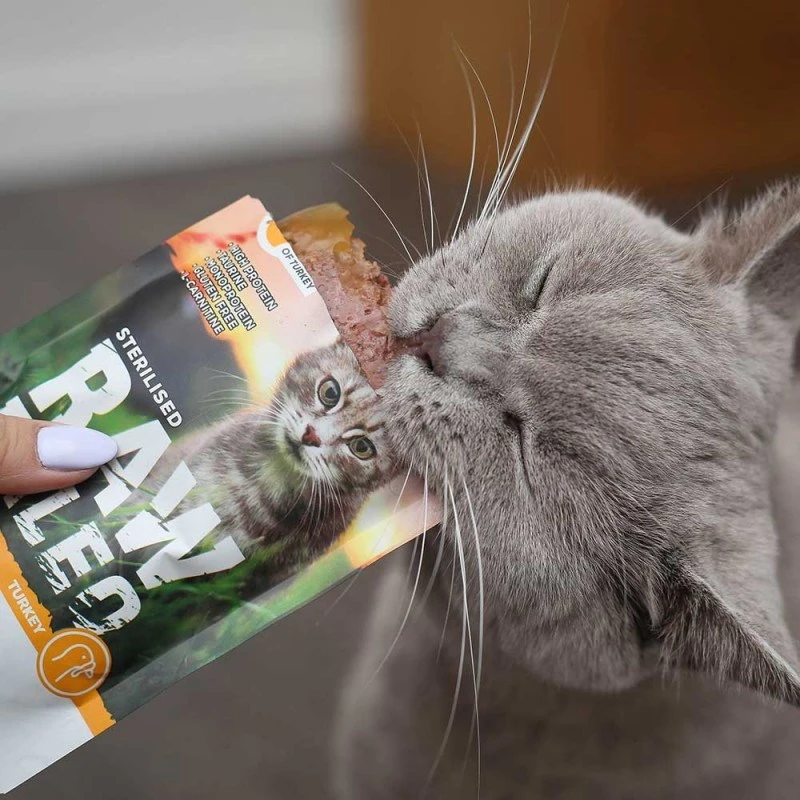 RAW PALEO Adult Cat Sterilised Turkey - Nassfutter für Katzen - 100 g