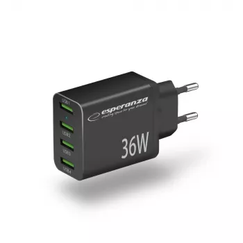Esperanza EZC107K Netzladegerät 36W Schwarz