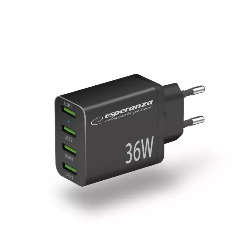 Esperanza EZC107K Netzladegerät 36W Schwarz
