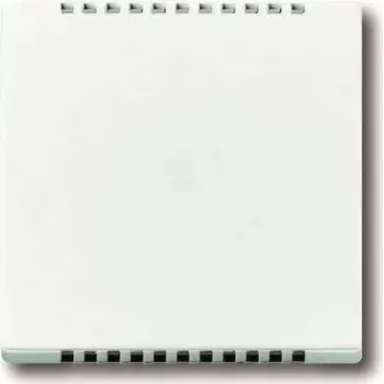 BUSCH JAEGER 6541-84 Zentralscheibe für Kühlabschnitt f.UP-Drehdimmer Busch-Dimmer