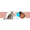 Nassfutter für Katzen 3coty 26 Truthahn und Kaninchen – 180 g Dose, ausgewachsen, getreidefrei, glutenfrei, für allergische Katzen