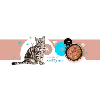 Nassfutter für Katzen 3coty 26 Truthahn und Kaninchen – 180 g Dose, ausgewachsen, getreidefrei, glutenfrei, für allergische Katzen