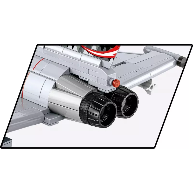 Braun Haartrockner mit Diffusor und Bürste