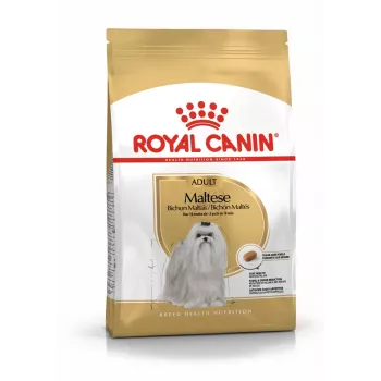 Trockenfutter für Hunde Royal Canin Maltese Adult 1,5 kg – Huhn, 24 % Protein, 18 % Fett