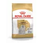Trockenfutter für Hunde Royal Canin Maltese Adult 1,5 kg – Huhn, 24 % Protein, 18 % Fett