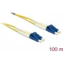 Delock LWL-Kabel LC Duplex auf LC Duplex Singlemode OS2 100 m (80161)