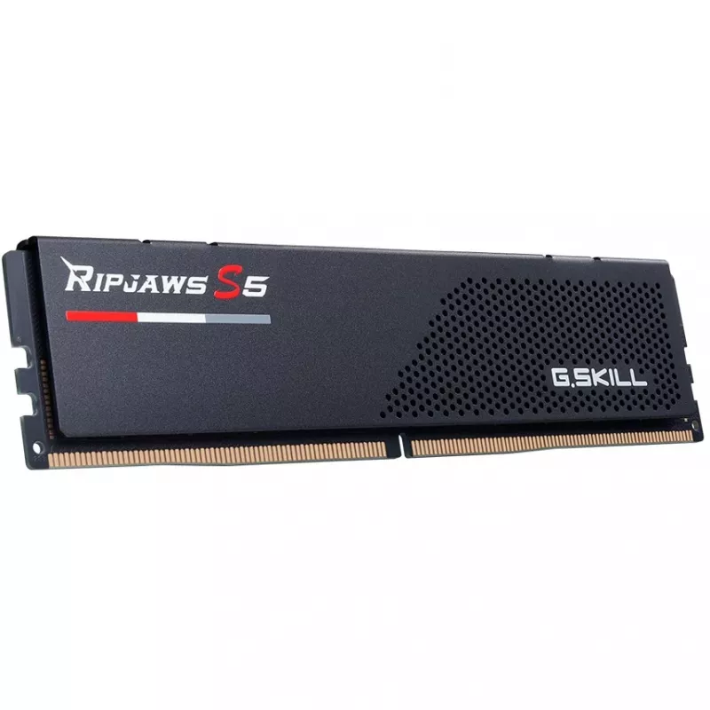 G.Skill F5-6000J3036F24GX2-RS5K Speichermodul 48 GB 2 x 24 GB DDR5 5600 MT/s