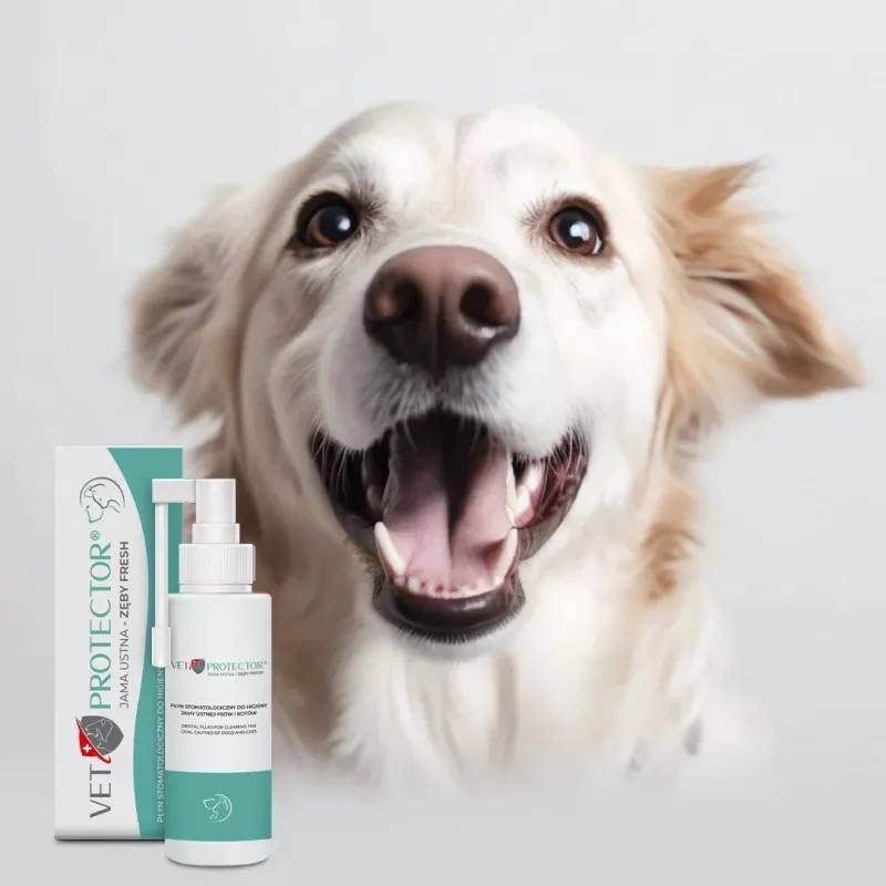 Mundpflegelösung JM Sante Vet Protector Fresh 100 ml für Hunde und Katzen, Vorbeugung von Zahnstein