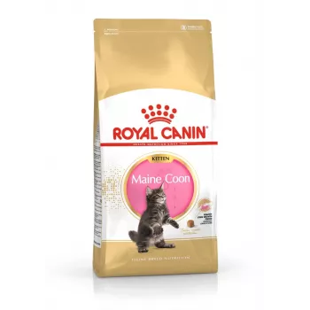 ROYAL CANIN Maine Coon Kitten- Trockenfutter für Katzen - 4 kg