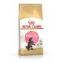 ROYAL CANIN Maine Coon Kitten- Trockenfutter für Katzen - 4 kg