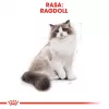 Trockenfutter für Katzen Royal Canin Ragdoll Adult 2 kg — Huhn, 32 % Protein, 18 % Fett