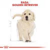 Royal Canin Golden Retriever Puppy Trockenfutter für Hunde, 12 kg