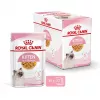 Nassfutter für Katzen Royal Canin Kitten Gravy 85 g — Geflügel, 78 % Feuchtigkeit, 12 % Protein