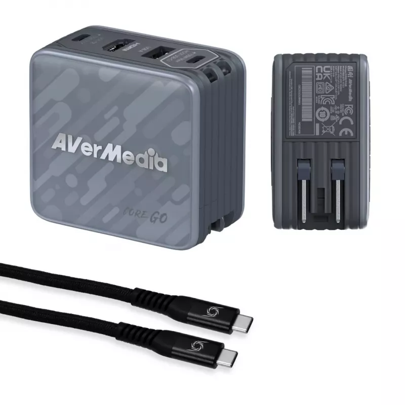 AVerMedia GC313 Universal Schwarz AC Schnellladegerät Indoor