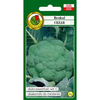 Samen — Apte Brokkoli 'Cezar' | Gemüsesamen-Packung 2 g